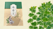 【行業(yè)資訊】國(guó)內(nèi)首部艾草專(zhuān)著《南陽(yáng)艾》，在南陽(yáng)新書(shū)首發(fā)！